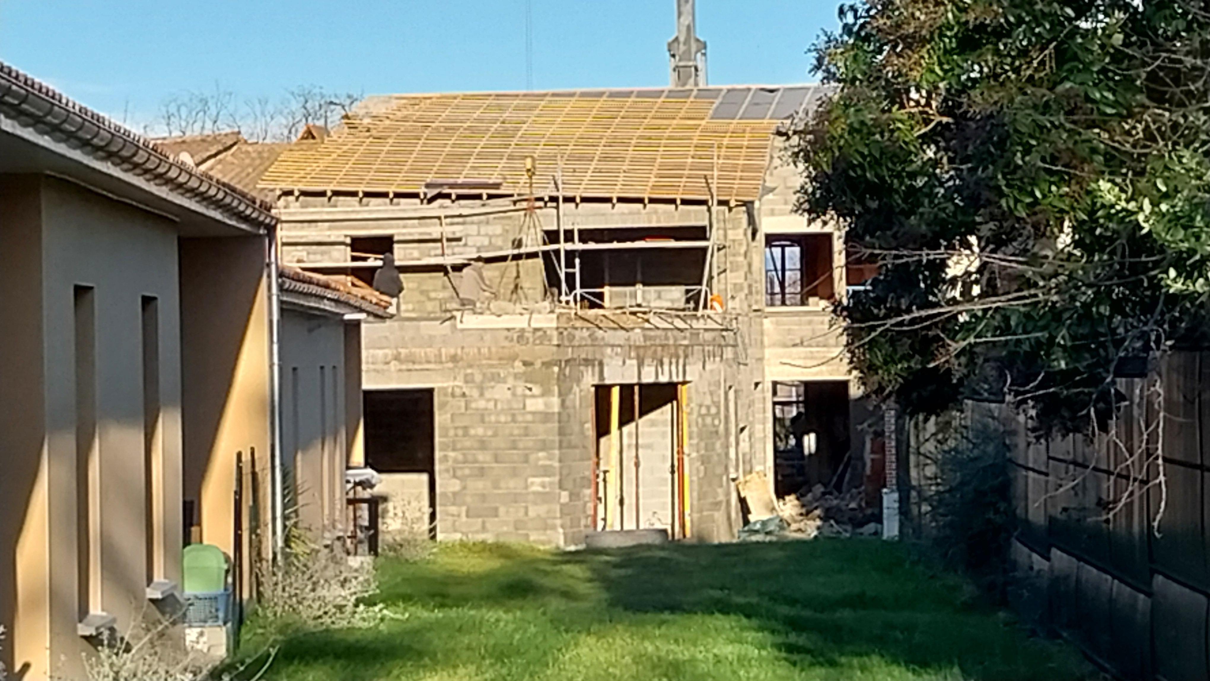 20241213_160019.jpg
