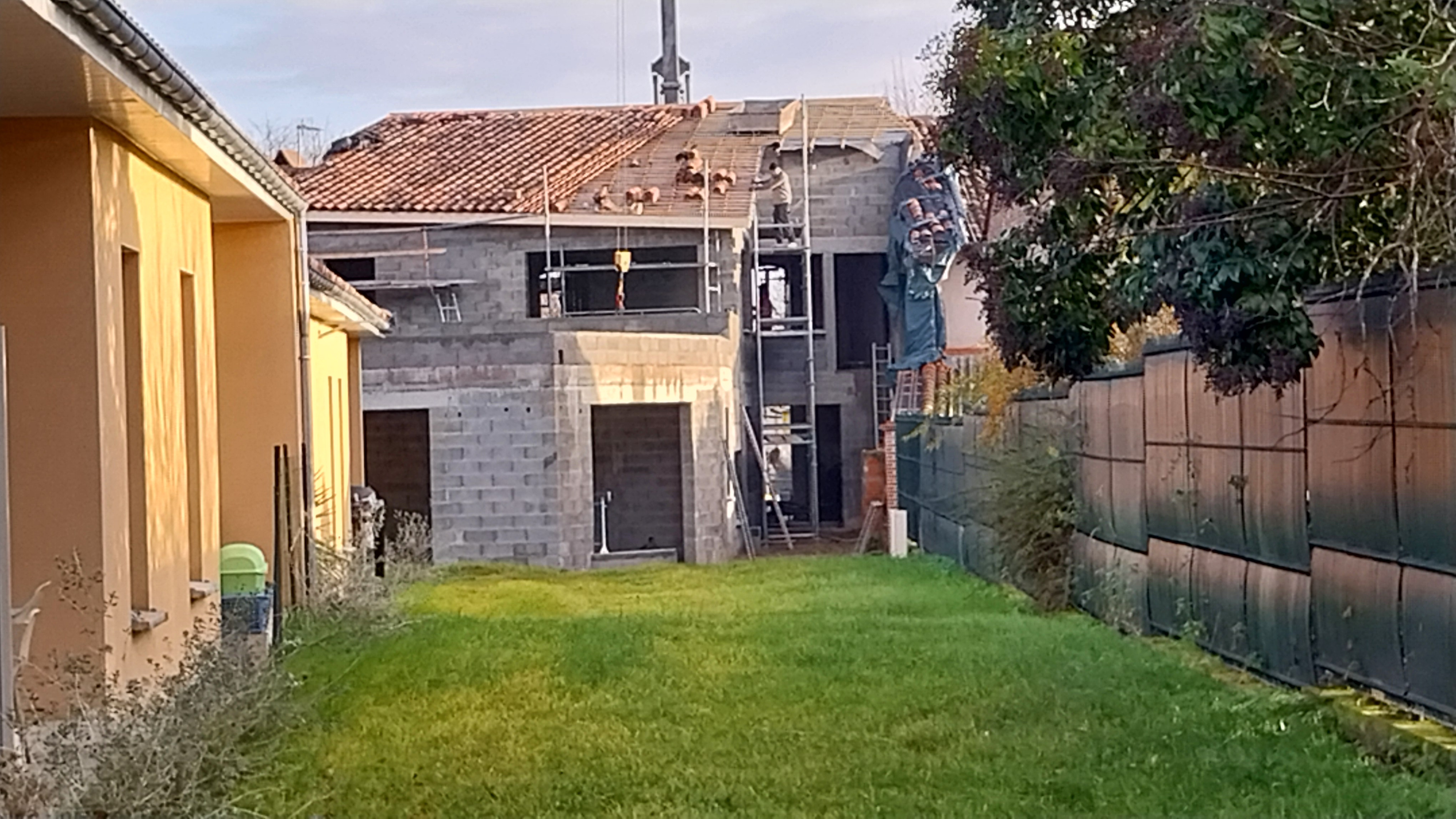 20241219_094558.jpg